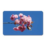 Japanese flowering cherry Magnet (Rectangular)