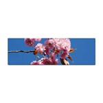 Japanese flowering cherry Sticker Bumper (10 pack)