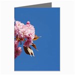 Japanese flowering cherry Greeting Cards (Pkg of 8)