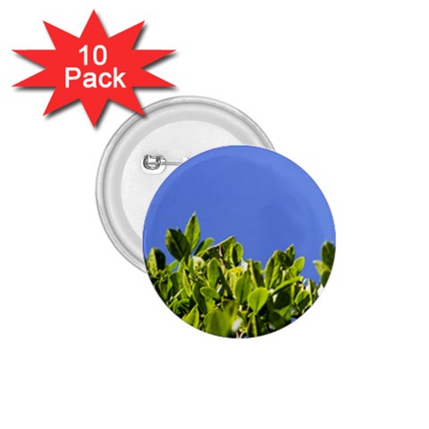 Hedge  1.75  Button (10 pack)  from UrbanLoad.com Front