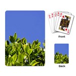 Hedge  Playing Cards Single Design