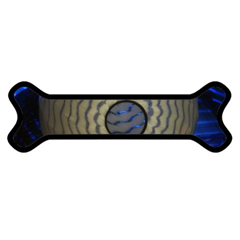 Glass Ball Magnet (Dog Bone) from UrbanLoad.com Front