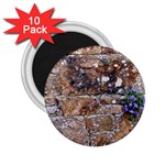 Flowers on the wall 2.25  Magnet (10 pack)
