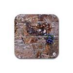 Flowers on the wall Rubber Square Coaster (4 pack)