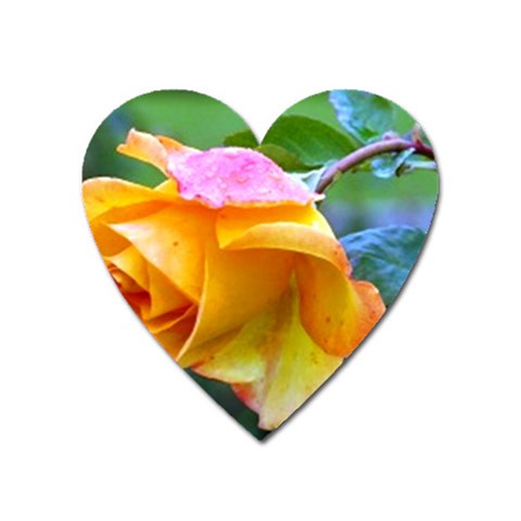 Orange Rose   Magnet (Heart) from UrbanLoad.com Front