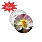 Lotus Flower Long   1.75  Button (10 pack) 