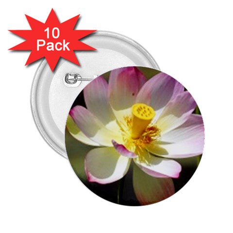 Lotus Flower Long   2.25  Button (10 pack) from UrbanLoad.com Front