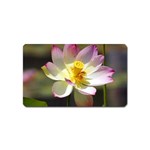 Lotus Flower Long   Magnet (Name Card)