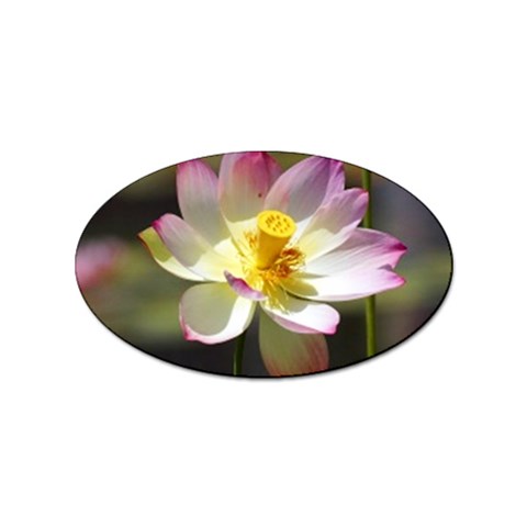 Lotus Flower Long   Sticker Oval (10 pack) from UrbanLoad.com Front