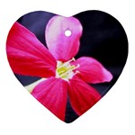 Antina Flower  Ornament (Heart)
