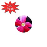 Antina Flower  1  Mini Magnet (100 pack) 