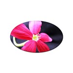 Antina Flower  Sticker (Oval)