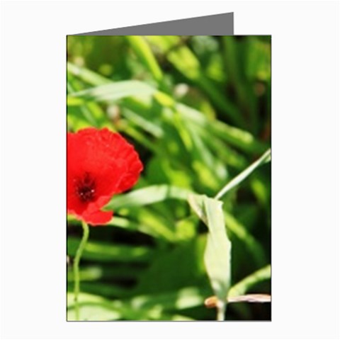 Anemone Flower   Greeting Cards (Pkg of 8) from UrbanLoad.com Left