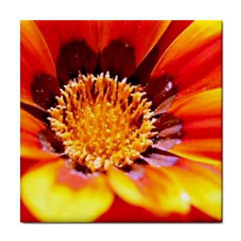 Annual Zinnia Flower   Tile Coaster from UrbanLoad.com Front