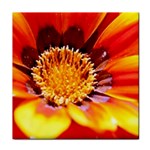 Annual Zinnia Flower   Tile Coaster