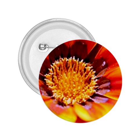 Annual Zinnia Flower   2.25  Button from UrbanLoad.com Front