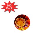 Annual Zinnia Flower   1  Mini Button (100 pack) 