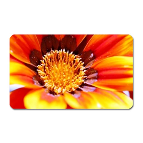 Annual Zinnia Flower   Magnet (Rectangular) from UrbanLoad.com Front