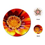 Annual Zinnia Flower   Playing Cards (Round)