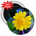 A Yellow Flower  3  Magnet (100 pack)