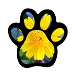 A Yellow Flower  Magnet (Paw Print)