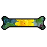 A Yellow Flower  Magnet (Dog Bone)
