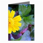 A Yellow Flower  Greeting Cards (Pkg of 8)
