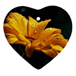 Yellow Orange   Ornament (Heart)