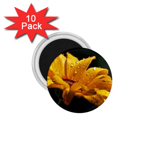 Yellow Orange   1.75  Magnet (10 pack)  from UrbanLoad.com Front