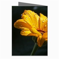 Yellow Orange   Greeting Card from UrbanLoad.com Right