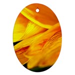 Yellow Sunflower 1   Ornament (Oval)
