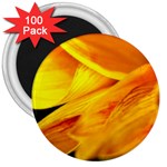 Yellow Sunflower 1   3  Magnet (100 pack)
