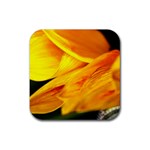 Yellow Sunflower 1   Rubber Square Coaster (4 pack)