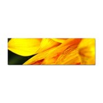 Yellow Sunflower 1   Sticker Bumper (10 pack)