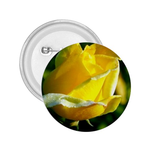 Yellow Rose  2.25  Button from UrbanLoad.com Front