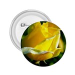 Yellow Rose  2.25  Button