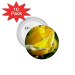 Yellow Rose  1.75  Button (10 pack) 