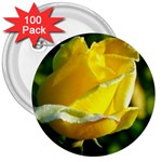 Yellow Rose  3  Button (100 pack)