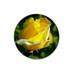 Yellow Rose  Rubber Coaster (Round)