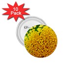Yellow Flower Stars   1.75  Button (10 pack) 