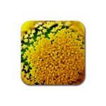 Yellow Flower Stars   Rubber Coaster (Square)