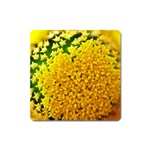 Yellow Flower Stars   Magnet (Square)