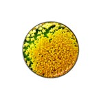 Yellow Flower Stars   Hat Clip Ball Marker