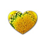 Yellow Flower Stars   Heart Coaster (4 pack)
