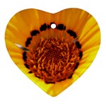 Yellow of Gazania Flower  Ornament (Heart)