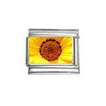 Yellow of Gazania Flower  Italian Charm (9mm)