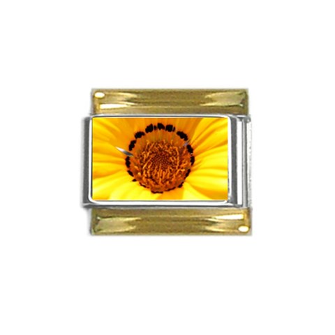 Yellow of Gazania Flower  Gold Trim Italian Charm (9mm) from UrbanLoad.com Front