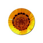 Yellow of Gazania Flower  Rubber Coaster (Round)