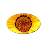 Yellow of Gazania Flower  Sticker Oval (100 pack)