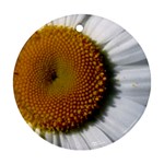 Yellow Daisy Detail  Ornament (Round)
